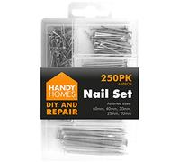 Lot de 250 clous assortis