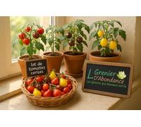 Lot de 250 graines à semer - Le Grenier d'Abondance - Fan de Tomates Cerises - 4 variétés