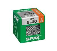 Lot de 250 vis acier tête fraisée torx SPAX, Diam.5 mm x L.40 mm