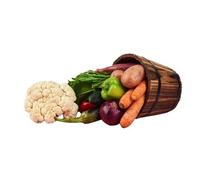 Lot De 2600 Graines À Semer - Le Grenier D'abondance - Semis Du Mois D'avril - Légumes Feuille - 10 Sachets Individuels