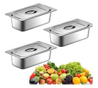 Lot de 3 Bac Inox Alimentaire avec Couvercle,Bac Gastro Inox Plat Maintien au Chaud Plats à Four,Récipients de Conservation au