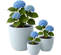 Lot de 3 bacs à plantes ronds 1