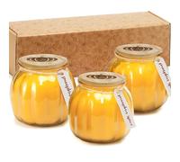 Lot de 3 bougies d'automne en forme de citrouille, bougies parfumées à l'automne, bougies parfumées à la citrouille et aux épices, cadeaux de Thanksgiving pour femme, 3 x 141,7 g