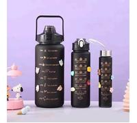 Lot de 3 bouteilles isothermes, gourde, 2 L + 800 ml + 300 ml sans BPA avec paille pour femme et homme