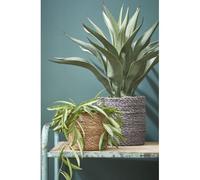 Lot De 3 Cache-Pots En Jonc De Mer Marron Clair H16 Marron