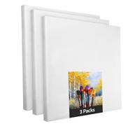 Lot de 3 châssis de 40 x 40 cm - Toile blanche en polyester à peindre, tendue prête à l'emploi, convient pour les peintures acryliques ou textiles, fournitures de projet de bricolage pour les peintres