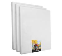 Lot de 3 châssis en polyester blanc de 30 x 40 cm, à peindre, prêt à l'emploi, convient pour les peintures acryliques ou textiles, fournitures de projet de bricolage pour les peintres et les artistes