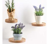 Lot de 3 étagères murales rondes, diamètre : 15 cm, en bois, pour plantes flottantes, décoratives, pour pot de fleurs ou vase