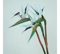 Lot de 3 Fleurs artificielles d'oiseau du Paradis, Faux Strelitzia de 22,8 Pouces avec des Feuilles de Caoutchouc réalistes, Fleurs en Tissu de Soie pour décoration(3pcs-Blue)