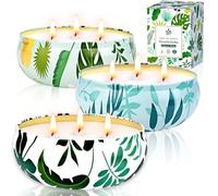 Lot de 3 grandes bougies d'extérieur à la cire de soja à la citronnelle 400 | Lot de 3 bougies parfumées à la citronnelle pour intérieur - Cadeau idéal pour le camping et les pique-niques