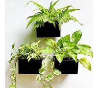 Lot de 3 jardinières rectangulaires en métal de 155 cm, à fixer au mur, pour plantes succulentes, couleur noire.