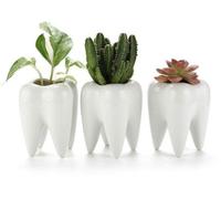 Lot de 3 mini-pots de fleurs en céramique blancs pour cactus et décoration