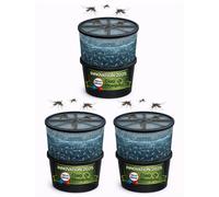 Lot de 3 pièges à larves avec seau
