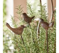 Lot de 3 piques de jardin Laver marron vieilli H/L/P env. 66/8/5 cm