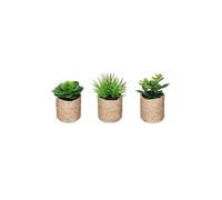 Lot de 3 plantes vertes artificielles avec pot en corde coloris sable --
