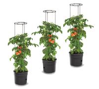 Lot de 3 pots à tomates 12 L avec support pour branches, planteurs à plantes, pour légumes, jardinières aux fraises et concombres