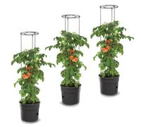 3x Plante de tomate en plastique Set de 3 pots de plantation 28 L, cultivateur de tomates, pot de tomates, cache-pot, légumes, tomates Laver