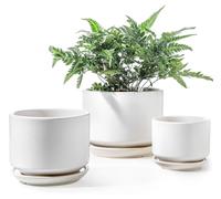 Lot de 3 pots de fleurs en céramique avec soucoupe et trou de drainage, couleur blanche, diamètres : 11 cm, 13 cm et 17 cm