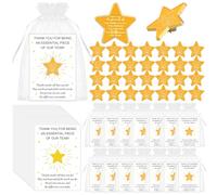 Lot de 30 épinglettes de reconnaissance des employés, motif étoile dorée avec message inspirant, épinglettes de reconnaissance des employés avec cartes de remerciement, sacs en organza, cadeaux de