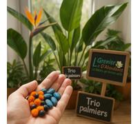 Lot de 30 graines à semer - Le Grenier d'Abondance - STRELITZIA & Co - 3 sachets individuels