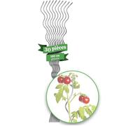 Floordirekt : tuteurs en spirale pour tomates, entièrement galvanisés, tuteurs pour tomates et plantes grimpantes, tuteurs de jardin, tuteurs en spirale - 1,8 m, lot de 30
