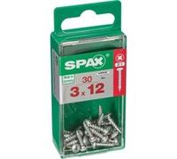 Lot de 30 vis acier tête cylindrique bombée SPAX, Diam.3 mm x L.12 mm G