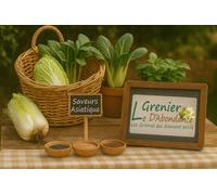 Lot de 300 graines à semer - Le Grenier d'Abondance - Saveurs Asiatique Chou - Basilic - 3 sachets individuels