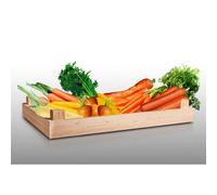 Lot De 3500 Graines De Carottes À Semer - Le Grenier D'abondance - Fan De Carottes - 7 Variétés