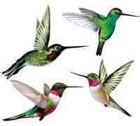 Lot de 4 autocollants « Chants d'oiseaux » - Multicolores - Kit sans adhésif - Masquage des chants d'oiseaux