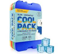 Lot de 4 blocs réfrigérants pour boîte à déjeuner - Réfrigérante originale - Fin et durable - Pour votre déjeuner ou sac isotherme