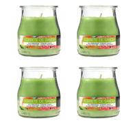 Lot de 4 Bougies Parfumées Sorbet à la pastèque, Bougie Parfumée en Verre 24 Heures de Combustion