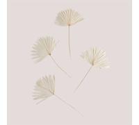 Lot de 4 branches séchées décoratives Urpek Blanc