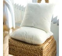 Lot de 4 - Coussins de remplissage en silicone de 45x45 cm 350g - Décoratifs, moelleux, doux et gardant leur forme 45*45Coton
