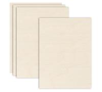 Lot de 4 panneaux Birkenmultiplex, dimensions 30x40 cm, épaisseur 3 mm, non vernis