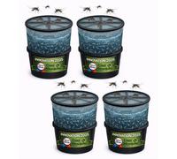Lot de 4 pièges à larves avec seau