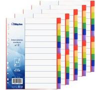 Lot de 5 jeux de 12 Intercalaires A4 Couleurs Vives en Polypropylène avec Page d'Index G