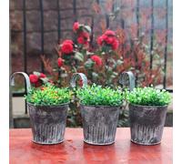 Lot de 5 petits pots de fleurs d'extérieur en métal ancien avec crochets