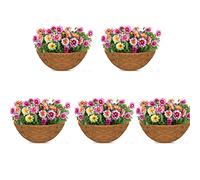 Lot de 5 revêtements ronds en fibre de coco de 20,3 cm pour panier suspendu, panier mural, pot de fleurs