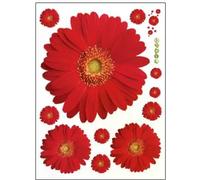 Lot de 5 stickers muraux motif petites fleurs de sakura, en PVC, pour chambre à coucher, salon, cuisine, décoration d'intérieur, DIY~01574