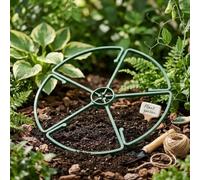 Lot de 5 supports de fixation pour plantes de jardin, couronne, support d'ancrage pour extérieur, vert, 26 x 1,2 cm, facile à installer pour terrasse, balcon, fleur