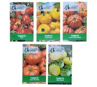 lot de 5 variétés de tomates anciennes orange queen, white beauty, coeur de boeuf, marmande et roma