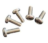 Lot de 5 vis de fixation pour capot de robot de piscine Tiger Shark - RCX12001 - Hayward Gris G