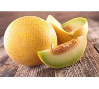 Lot de 50 Graines de Melon Ananas - chair orange, sucrée, juteuse et très parfumée - culture facile - la plante peut porter jusqu’à 6/8 fruits - vigoureuse et très ramifiée - semences reproductibles