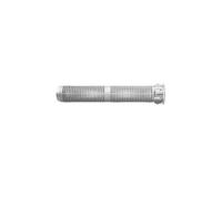 Fischer Tamis d'injection FIS H 12 x 85 K en plastique Boîte de 50