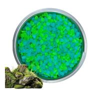 Lot de 500 galets décoratifs phosphorescents dans le noir - Pierres lumineuses colorées pour l'aménagement paysager - Pour cour, jardin, étang, cheminée, aquarium, projets d'art et d'artisanat en