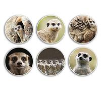 Lot de 6 autocollants en vinyle suricate de 10 cm - Animal adorable zoo safari pour enfants - Cadeau de scrapbooking #79013