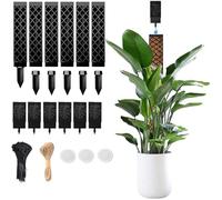 Lot de 6 bâtons de mousse pour tuteur Monstera, avec aide à l'arrosage et serre-câbles, bâton de mousse auto-arrosage pour plantes d'intérieur, kit d'accessoires pour plantes grimpantes, plantation de