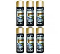 Lot De 6 Bombes De Peinture Professionnelle Nespoli - Chrome Or