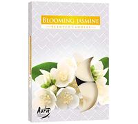 Lot de 6 bougies parfumées senteur fleur de jasmin
