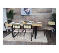 Lot de 6 chaises de salle à manger HWC-K88, fauteuil chaise, certifié FSC bois poly rotin métal bouclé tissu/textile rose